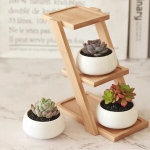 Three Tiered Mini Plant Stand w/ Ceramic Planters for Succulents Air Plants